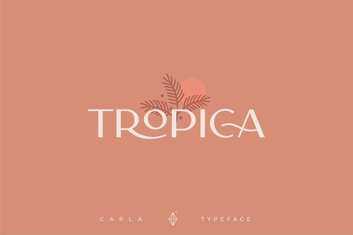 Carla Sans - Elegant Typeface, a Sans Serif Font by Creative Corner (Photo 16 of 26)