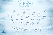 Sadlyne Wedding font + Cyrillic, a Script Font by IraDvilyuk (Thumbnail 18 of 22)