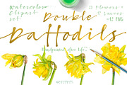 Double Daffodils, an Illustration by watercolorwild.graphics (Thumbnail 1 of 6)