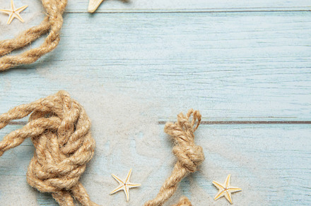 Summer concept with palm leaf, rope, seashells and starfishes on