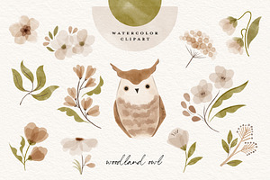 Watercolor Woodland Owl Clipart