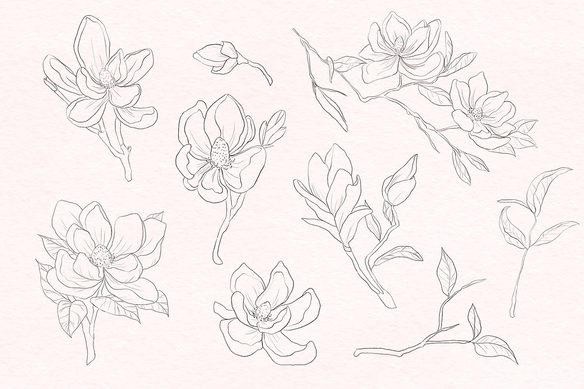 Modern Magnolia Floral Illustrations, an Illustration by Fire Spark Studio (Photo 3 of 9)