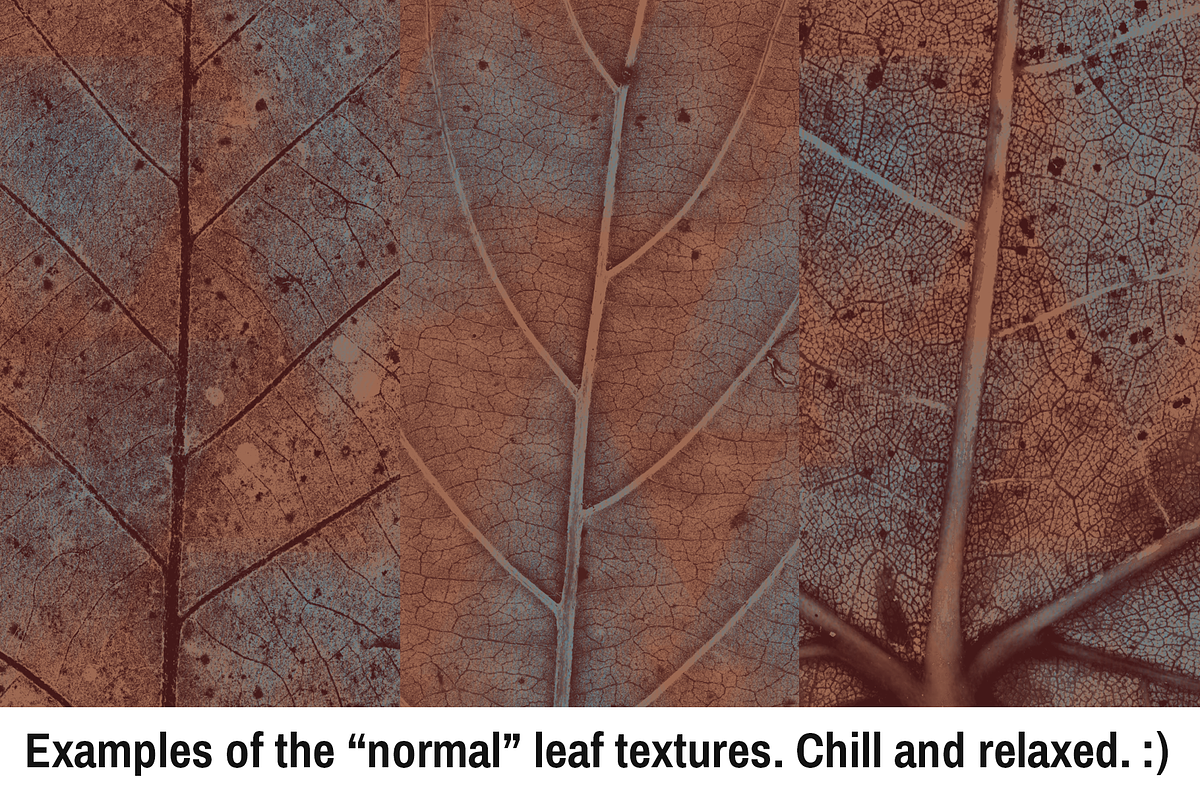 Leaf Texture Pack - Earthy Goodness!, a Texture Graphic by Matt Borchert (Photo 6 of 6)