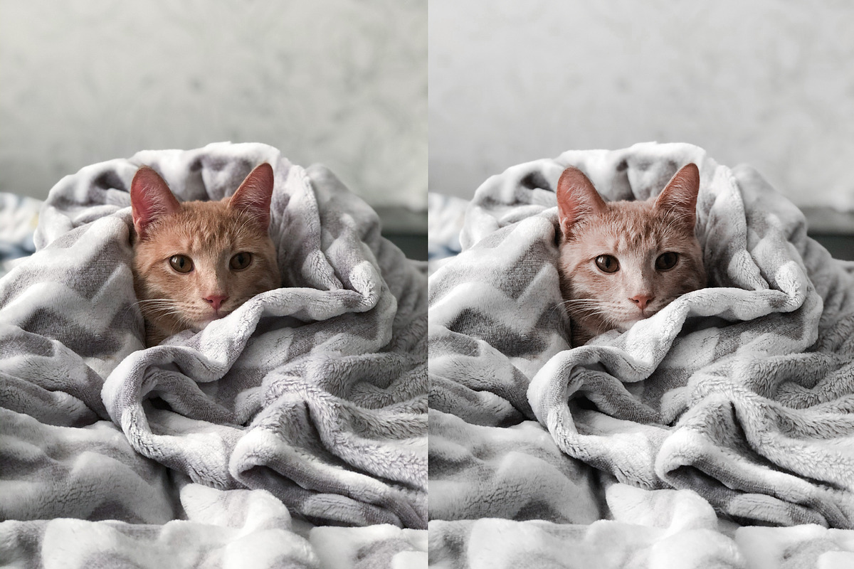 Stylish presets for Lightroom Mobile, an Action Add-On by kostanashvili (Photo 5 of 5)