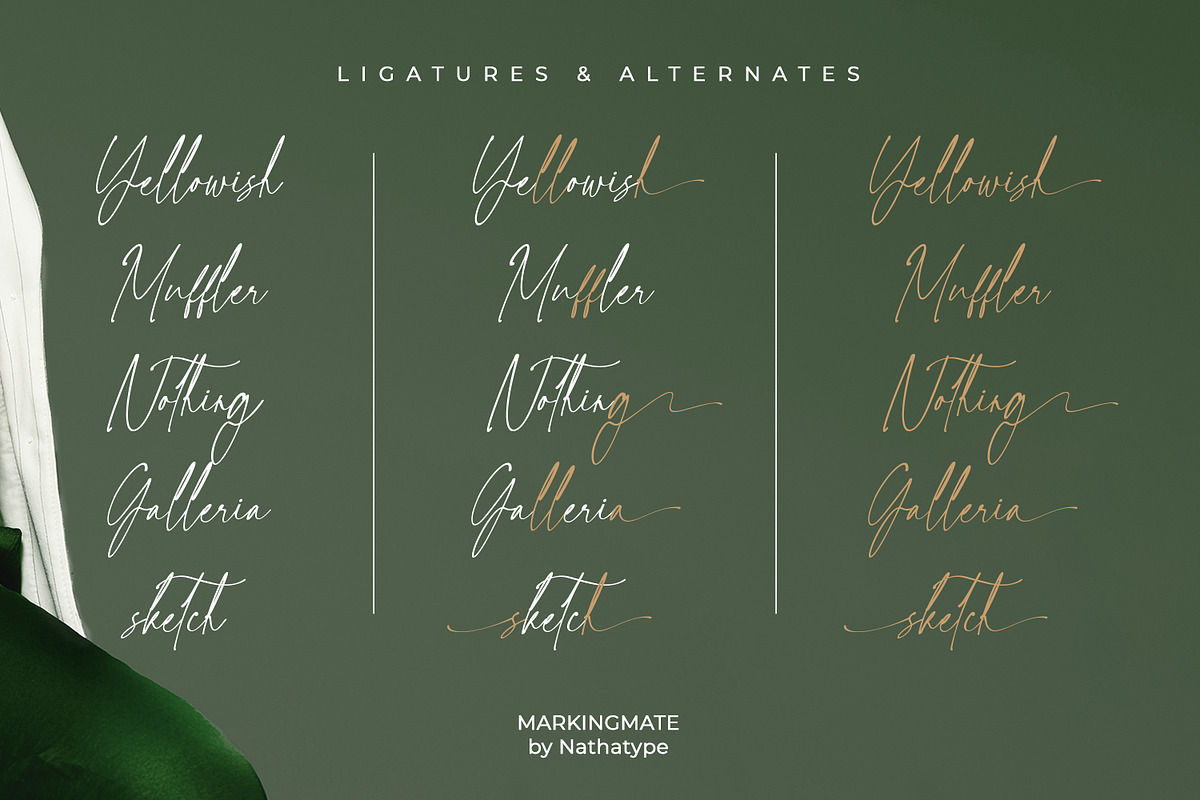 Markingmate, a Script Font by Nathatype (Photo 9 of 10)