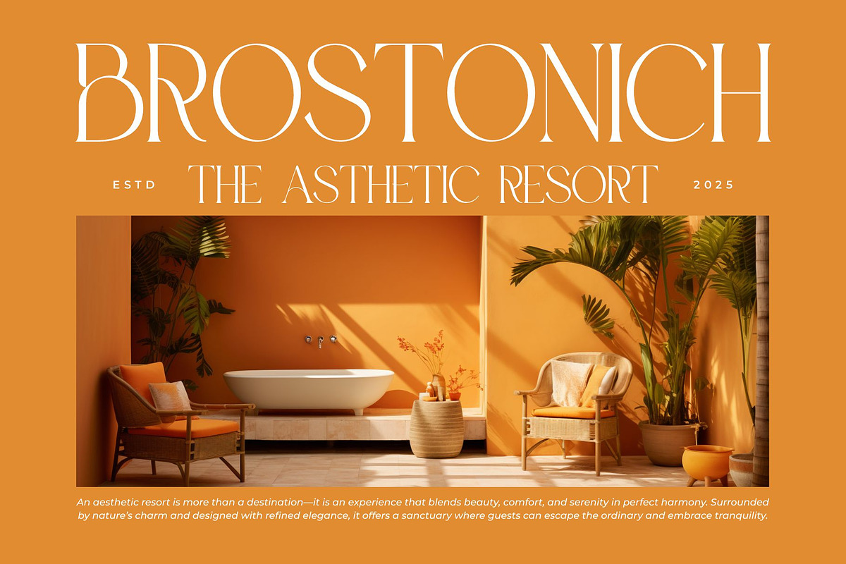 Baiston || Modern Classy Serif Font, a Serif Font by Ermedia Studio (Photo 3 of 10)