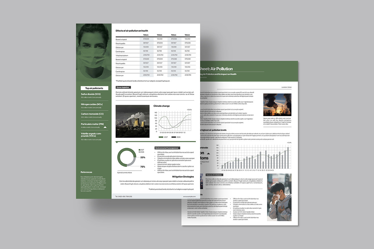 Simple Fact Sheet Template, a Flyer Template by BrandPacks