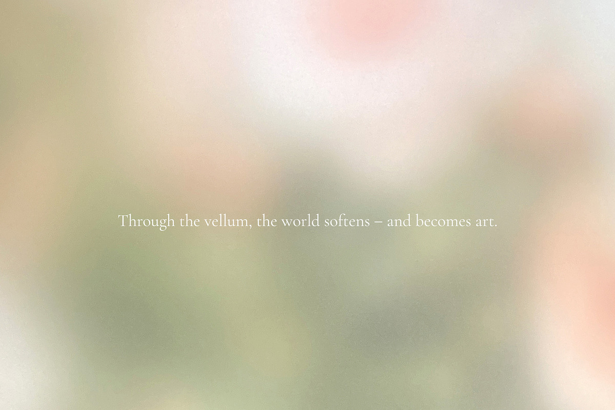 Through the Vellum - Backgrounds, a Background Graphic by Dina Mae (Photo 5 of 13)