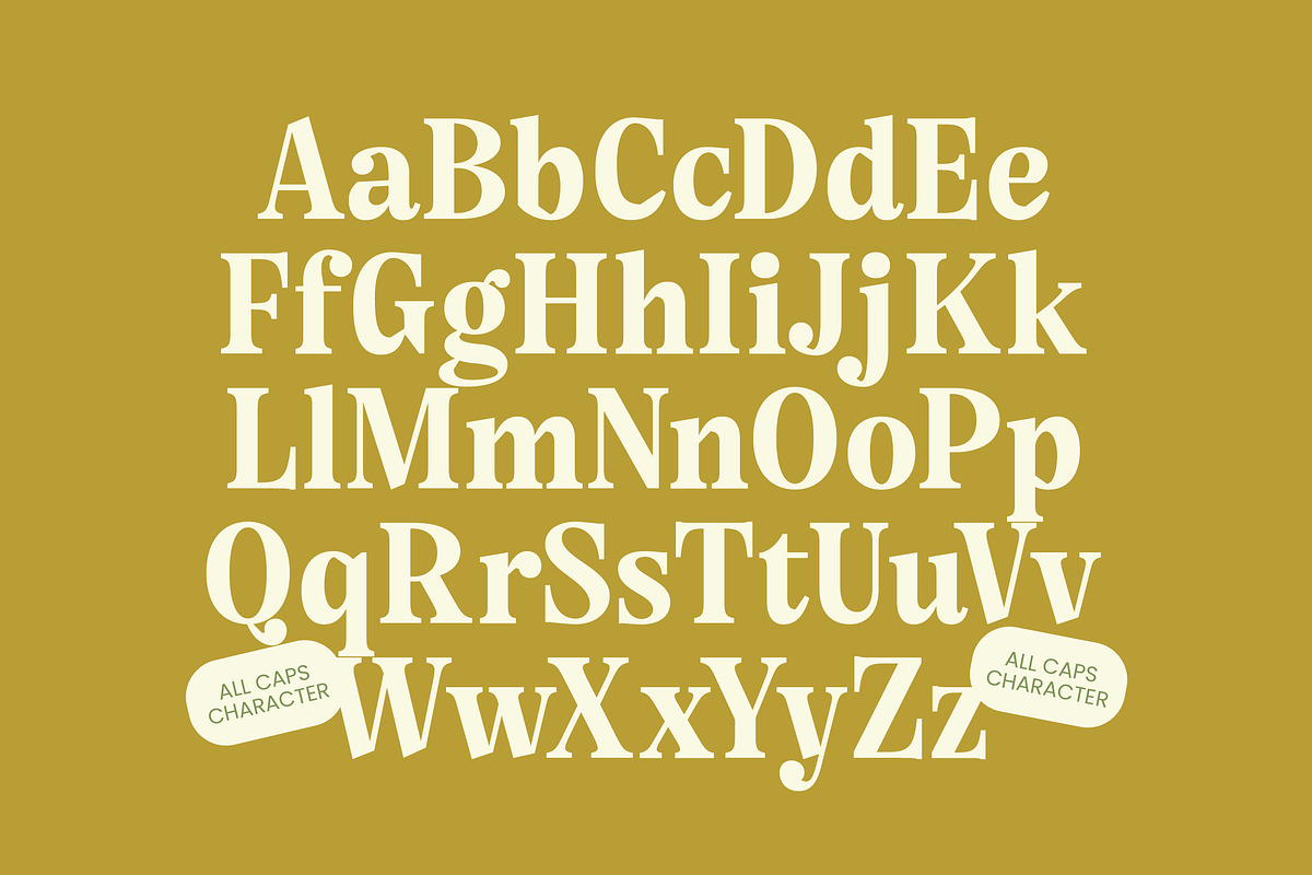 Angel & Bunda Groovy Serif Font, a Serif Font by timelesstype.co (Photo 15 of 20)