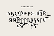 Wolff Swash - Bold Serif Font, a Serif Font by Wolff Design Co. (Thumbnail 4 of 8)