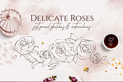 Delicate Roses - Hand Drawn Clipart, a Texture Illustration by Aquarellina (Thumbnail 1 of 15)