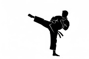 Dynamic martial arts kick silhouette, an Illustration by Amazin_art (Thumbnail 16 of 36)