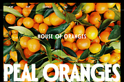 Polienz | Artdeco Font, a Sans Serif Font by Jolicia Type (Thumbnail 17 of 19)
