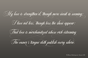 Armstrong, a Script Font by Larin Type Co. (Thumbnail 10 of 15)
