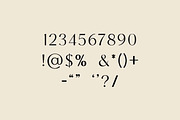 Progesteron Luxury Serif Font, a Serif Font by UICreative (Thumbnail 8 of 13)
