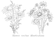 Ink Vector Chamomile, a Decorative Illustration by Sweet_print (Thumbnail 3 of 6)