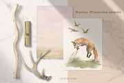 Prairies. American Animals & Nature, an Animal Illustration by Kreker Kate (Thumbnail 2 of 13)