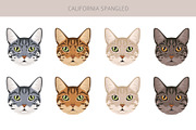 California Spangled Cat clipart set, an Animal Illustration by pet design shop (Thumbnail 5 of 6)