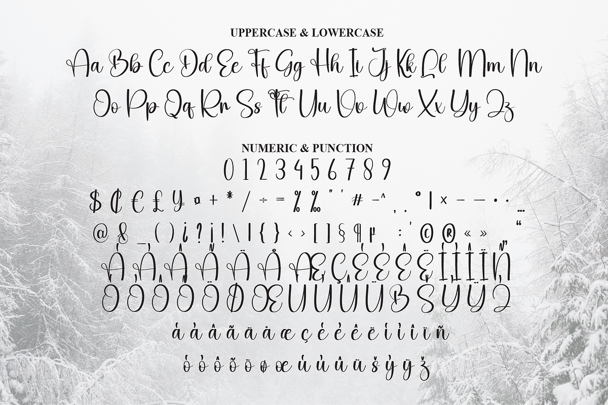 Winterly | Script Font, a Handwritten Font by Scratchones (Photo 7 of 9)