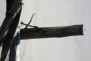 Alphabet Photography Letter E, a Nature Photo by Artistic Letters (Thumbnail 3 of 7)