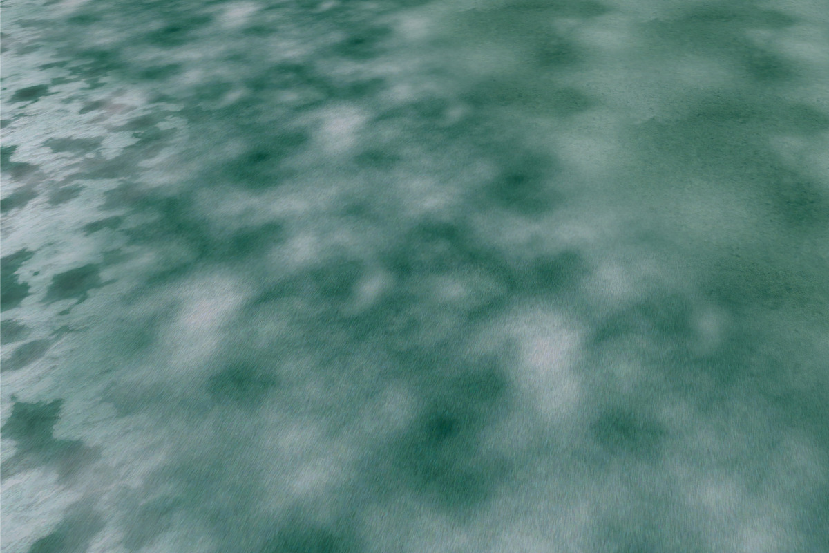 AUTUMN AND WINTER TEXTURE PACK, a Textures & Material 3D Model by Beatheart Creative Studio (Photo 24 of 58)