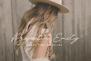 Bulgary Rose Signature Script Font, a Handwritten Font by Heinzel Std (Thumbnail 2 of 20)