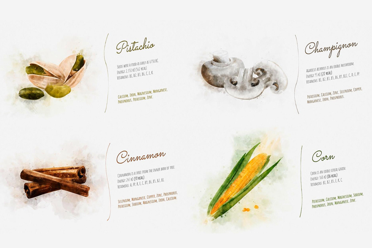 Watercolor Fruits - After Effects, a Templates & Theme by ConceptCafe (Photo 8 of 14)