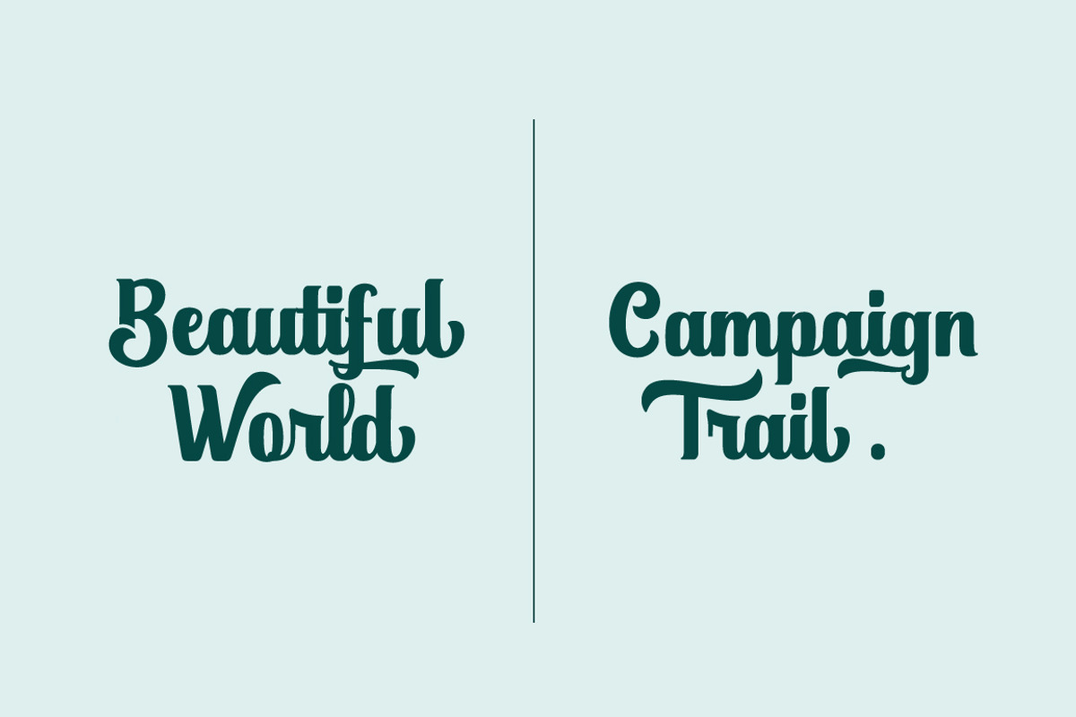 Duffish, a Script Font by Graptail (Photo 8 of 10)