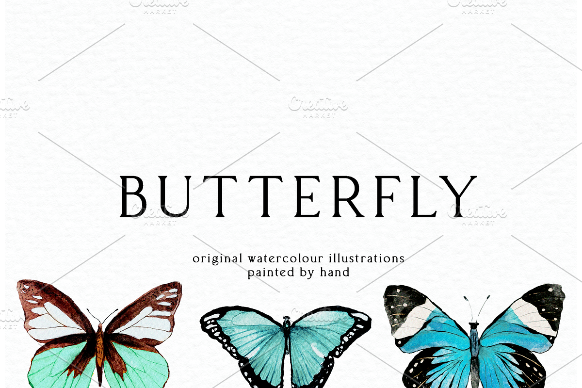 Watercolor Butterflies, a Decorative Illustration by Karliefie (Photo 4 of 5)