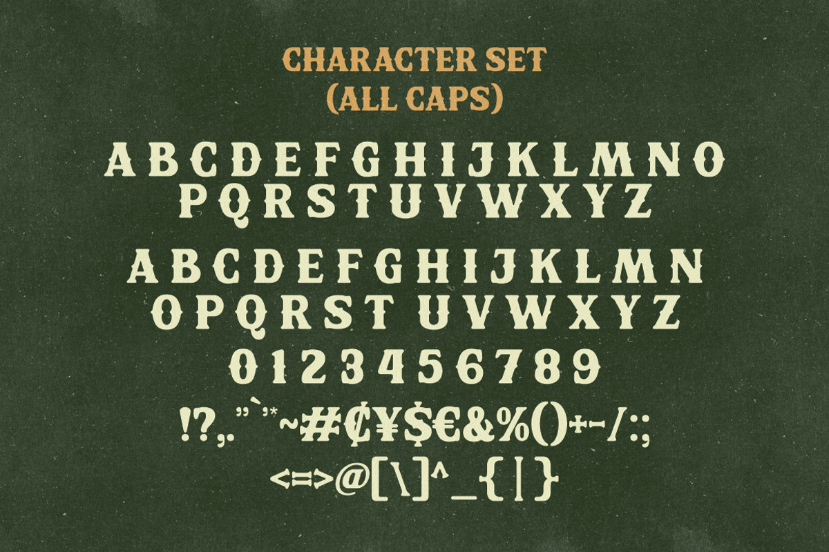 Horse Saguaro - Cowgirl Font, a Serif Font by HansCo Studio (Photo 6 of 7)