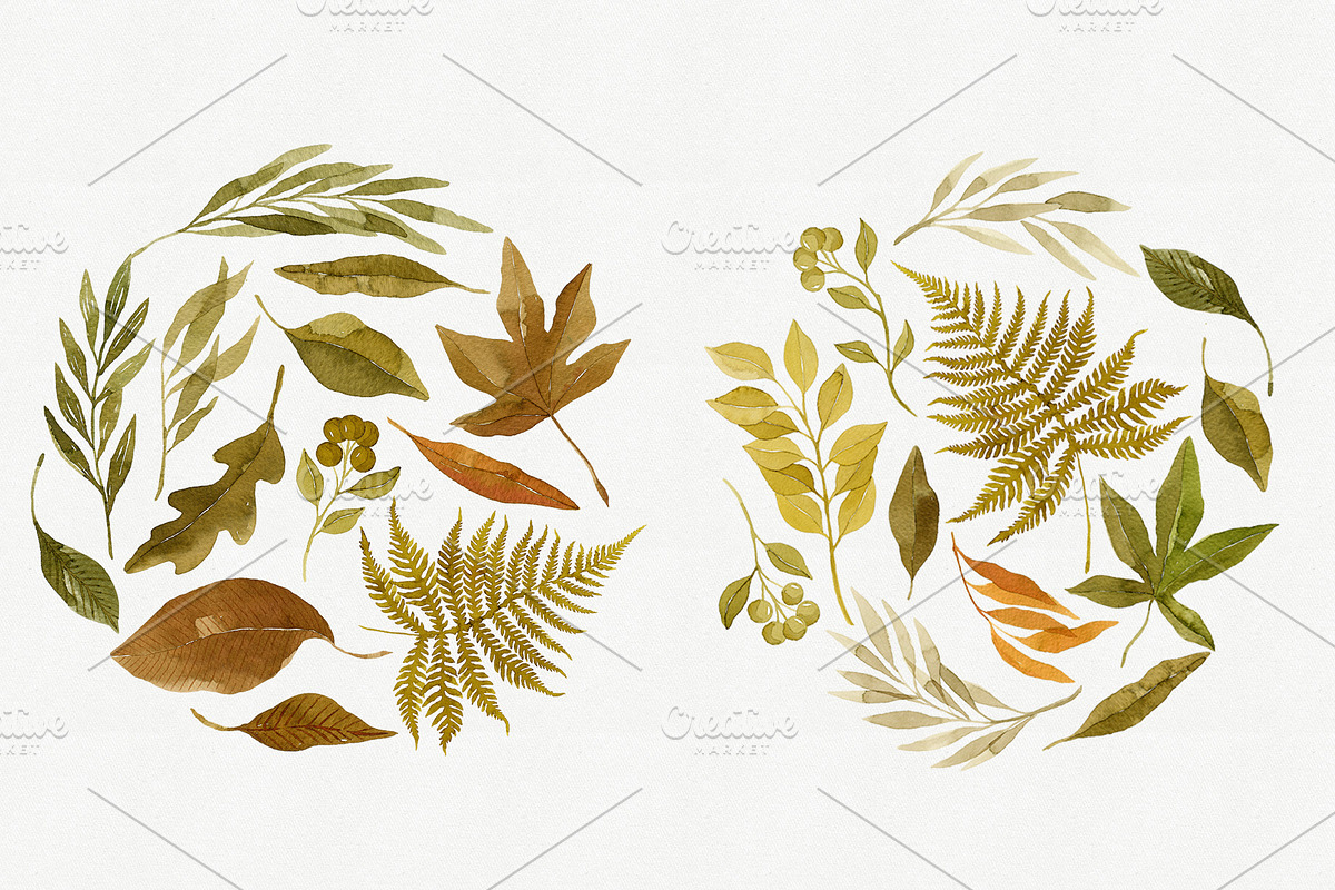 Watercolor Autumn Leaves Bundle, an Illustration by Helga Wigandt (Photo 16 of 18)