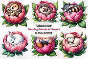 Sleeping Animals in Flowers, an Illustration by Designworld (Thumbnail 1 of 5)