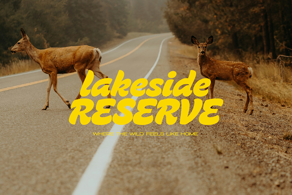Flisker – Retro Italic Display Font, a Script Font by gafaroff studio (Photo 6 of 7)