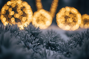 Snowy pine branches with warm glowin, a Nature Photo by Artonix