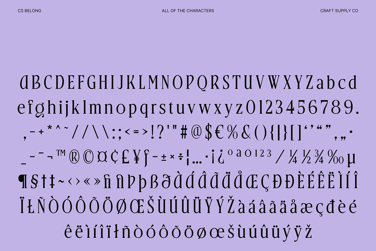 CS Belong – Contemporary Font, a Serif Font by Craft Supply Co. (Photo 8 of 8)