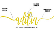 Amazing Font Duo, a Script Font by Studio design (Thumbnail 2 of 11)