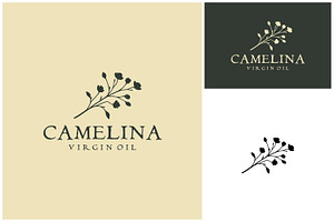 Camelina Sativa Flower Plant Logo, a Branding & Logo Template by Enola99d