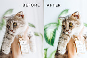 Mobile Lightroom Preset Full Pack, an Action Add-On by The Red Pine (Thumbnail 6 of 9)