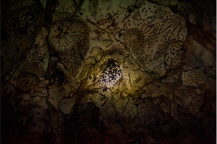 The light shines in the cave, a Nature Photo by Elizaveta Galitskaya