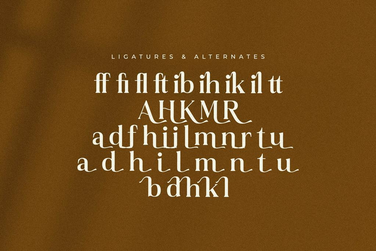 Rilenda Modern Serif Font, a Serif Font by Storytype Studio (Photo 12 of 13)