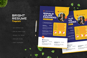 Bright Retro Resume