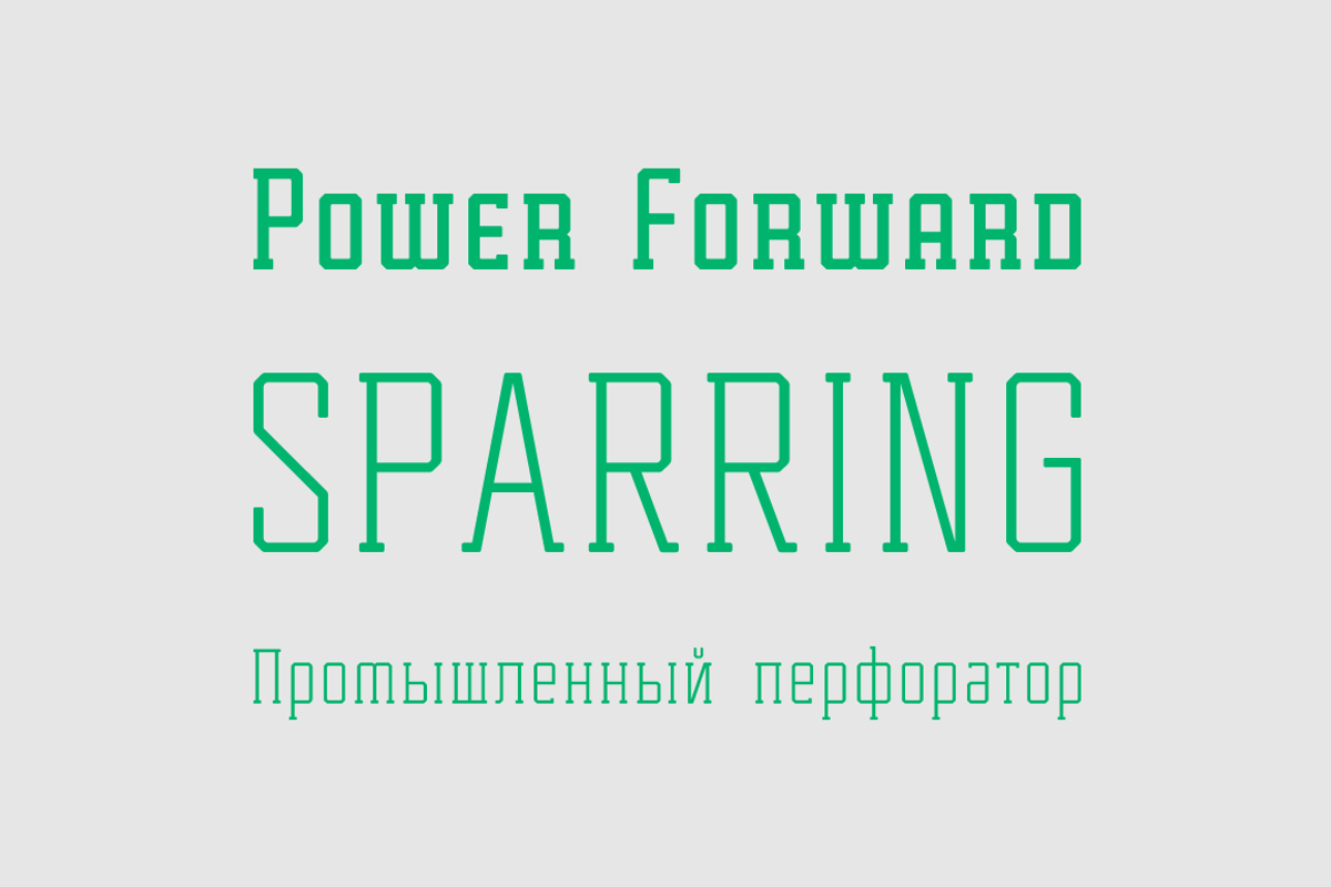 Tecnica Slab Font Family preview 3