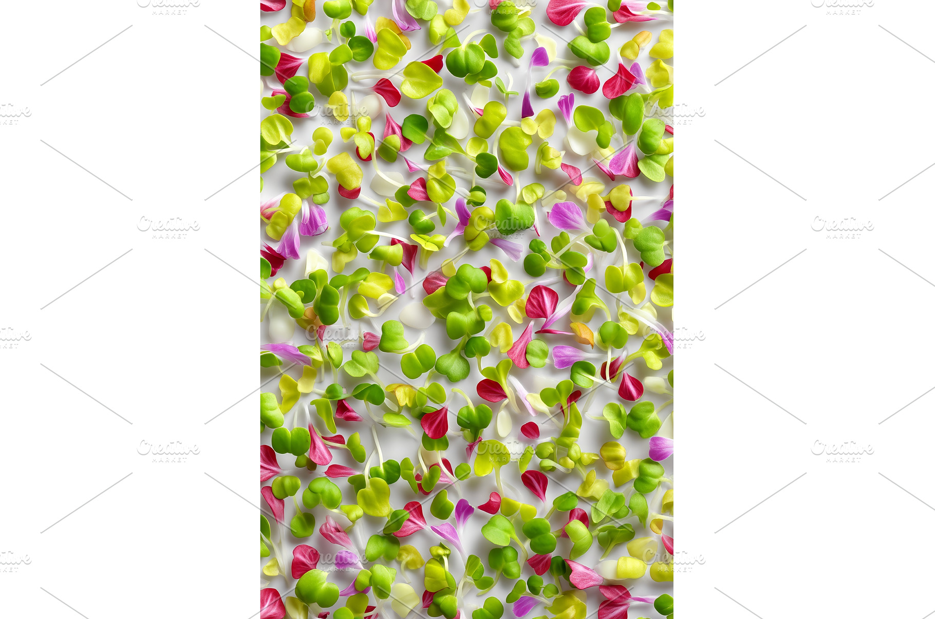 Fresh organic microgreens, including, a Food & Drink Photo by ZinetroN