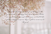 Whitley Pattrycia Luxury Calligraphy, a Script Font by Storytype Studio (Thumbnail 8 of 12)