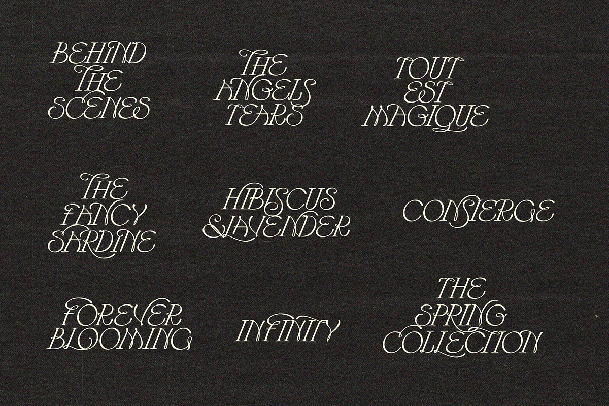 Hearts Entangled Display Typeface, a Script Font by Nicky Laatz (Photo 30 of 37)