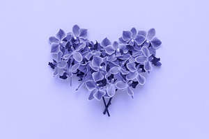 Violet flowers in heart shape