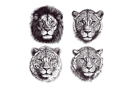 Lion Tiger Gepard Leopard Portrait, an Animal Illustration by LadadikArt