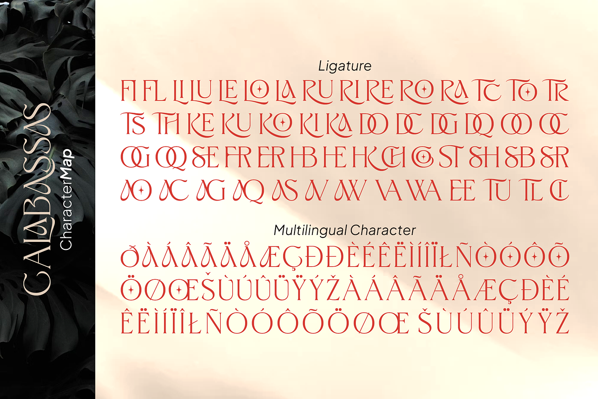 Calabassas Fresh Modern Serif, a Serif Font by Vampstudio (Photo 13 of 13)