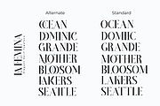 La Femina, a Serif Font by saemoon creative (Thumbnail 5 of 6)