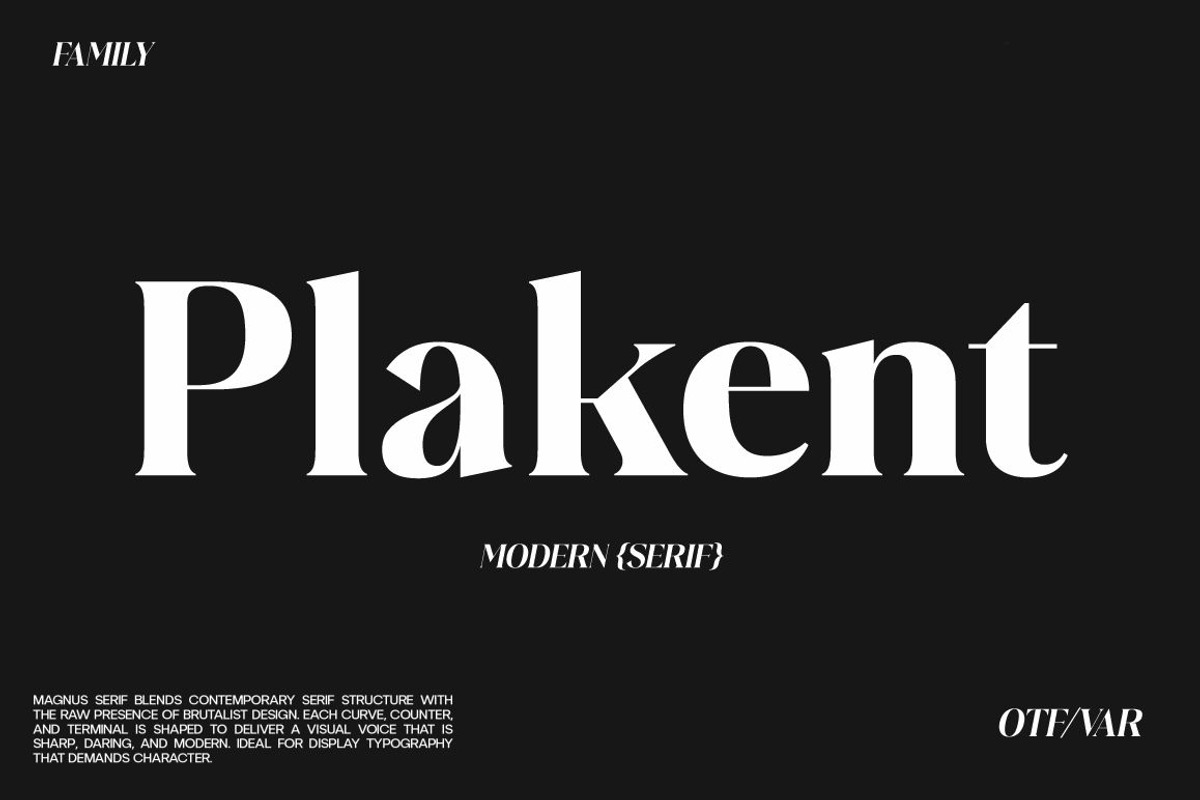 Plakent, a Serif Font by studiobasic (Photo 1 of 15)